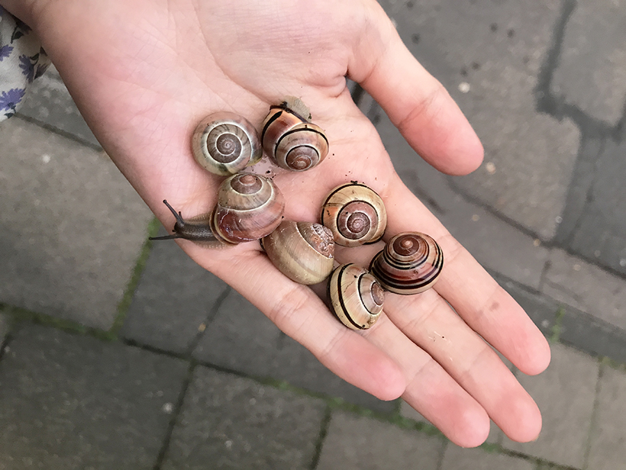 IMG_9217.JPG ?mb_ext=file&path=2022%2F06%2F29%2FF2549_IMG_9217.JPG